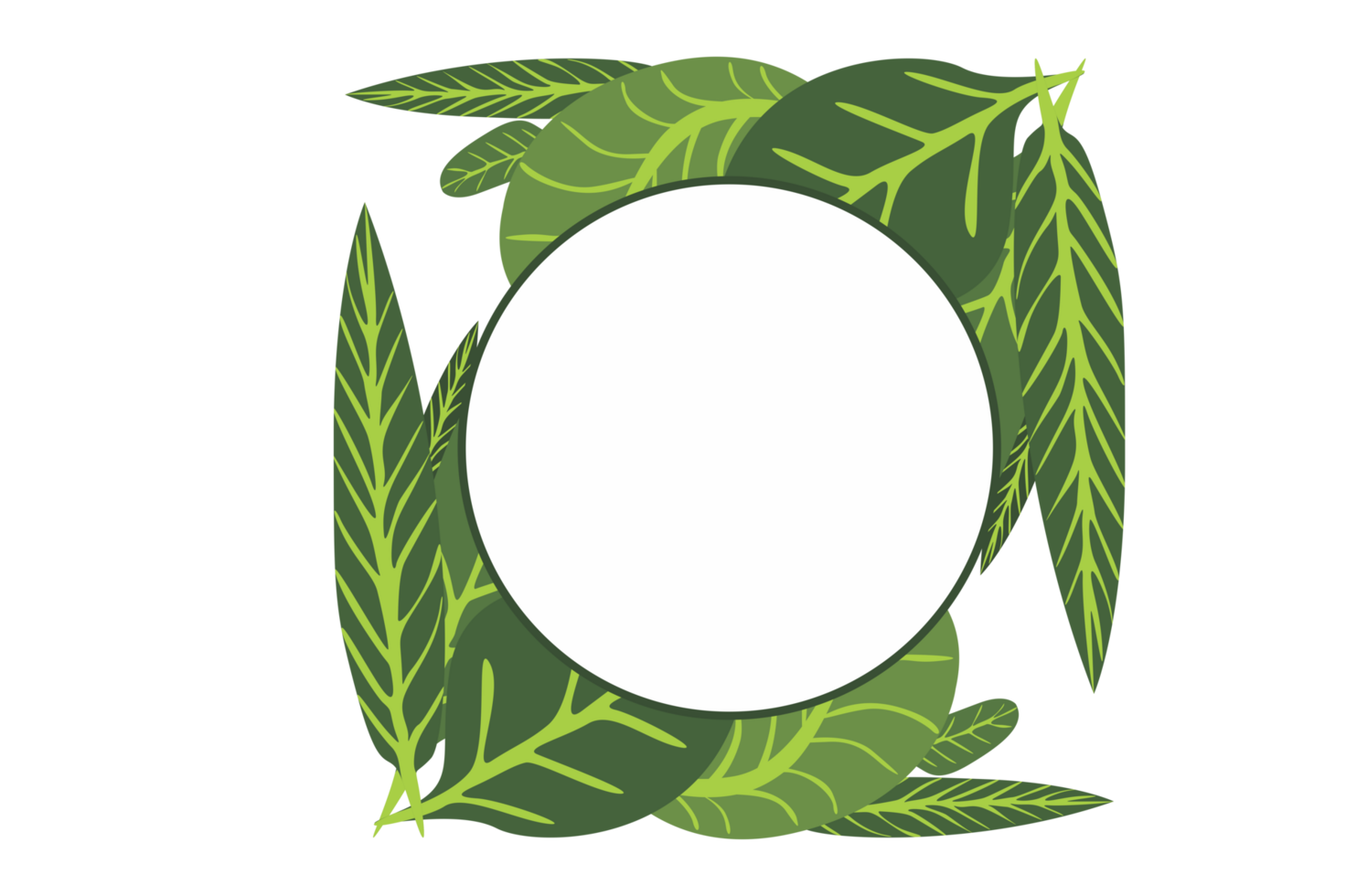 Flora Ornament Border With Design With Transparent Background png