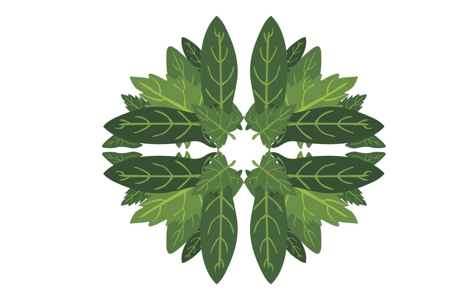 Flora Ornament Border With Design With Transparent Background png