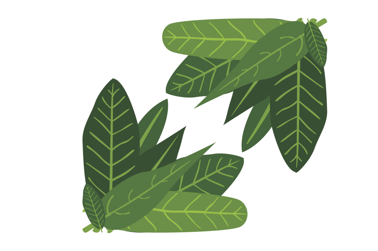 Flora Ornament Border With Design With Transparent Background png
