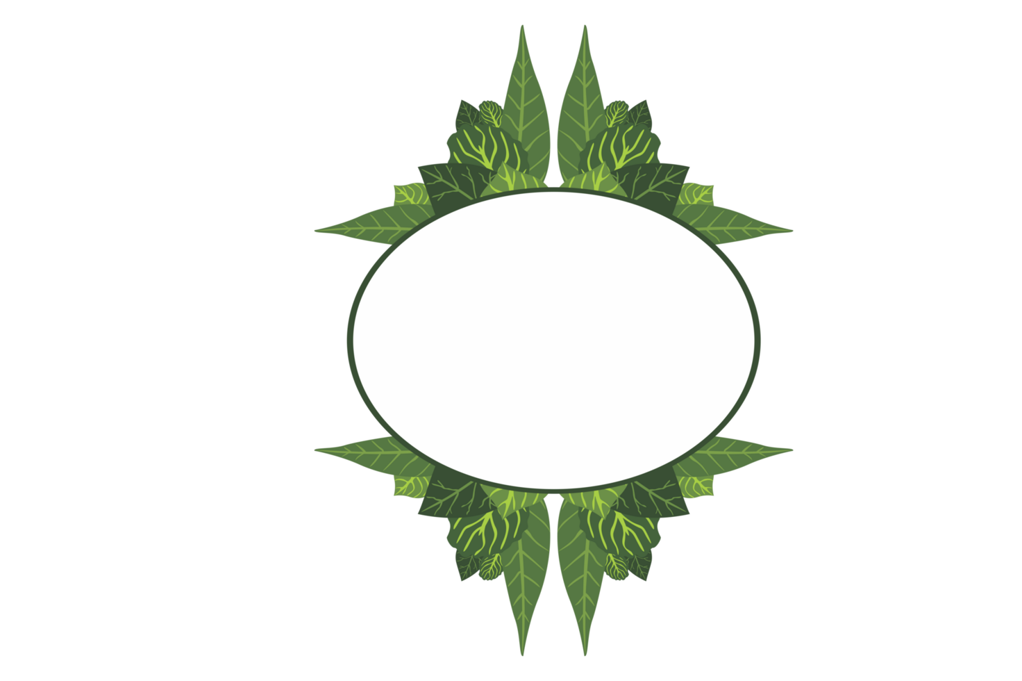 Flora Ornament Border With Design With Transparent Background png