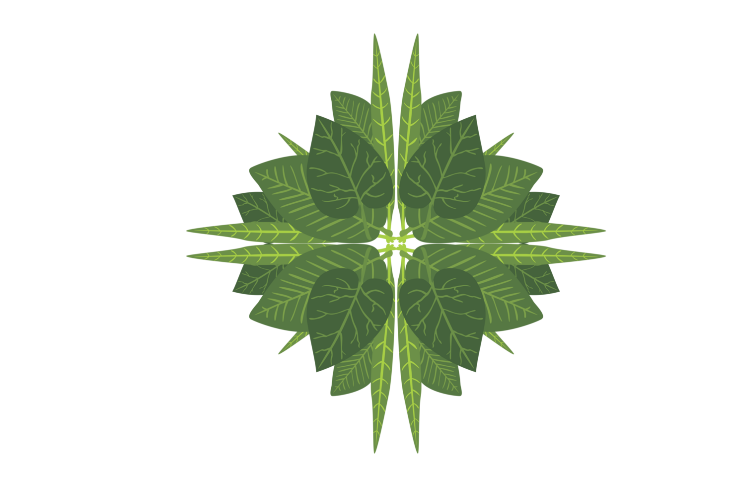 Flora Ornament Border With Design With Transparent Background png