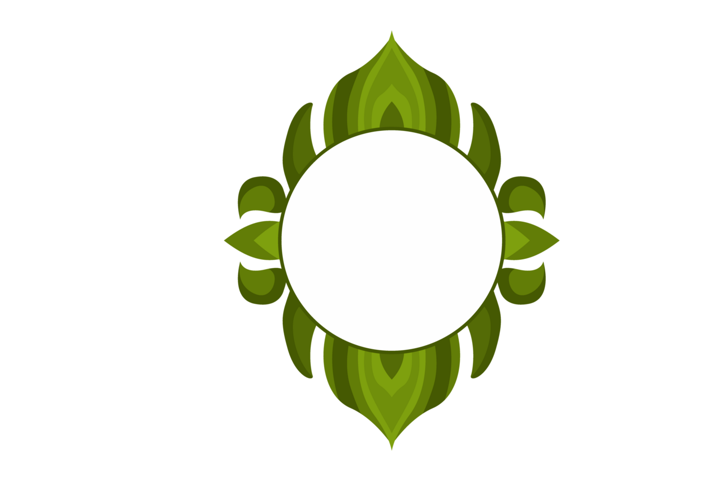 Flora Ornament Border With Design With Transparent Background png