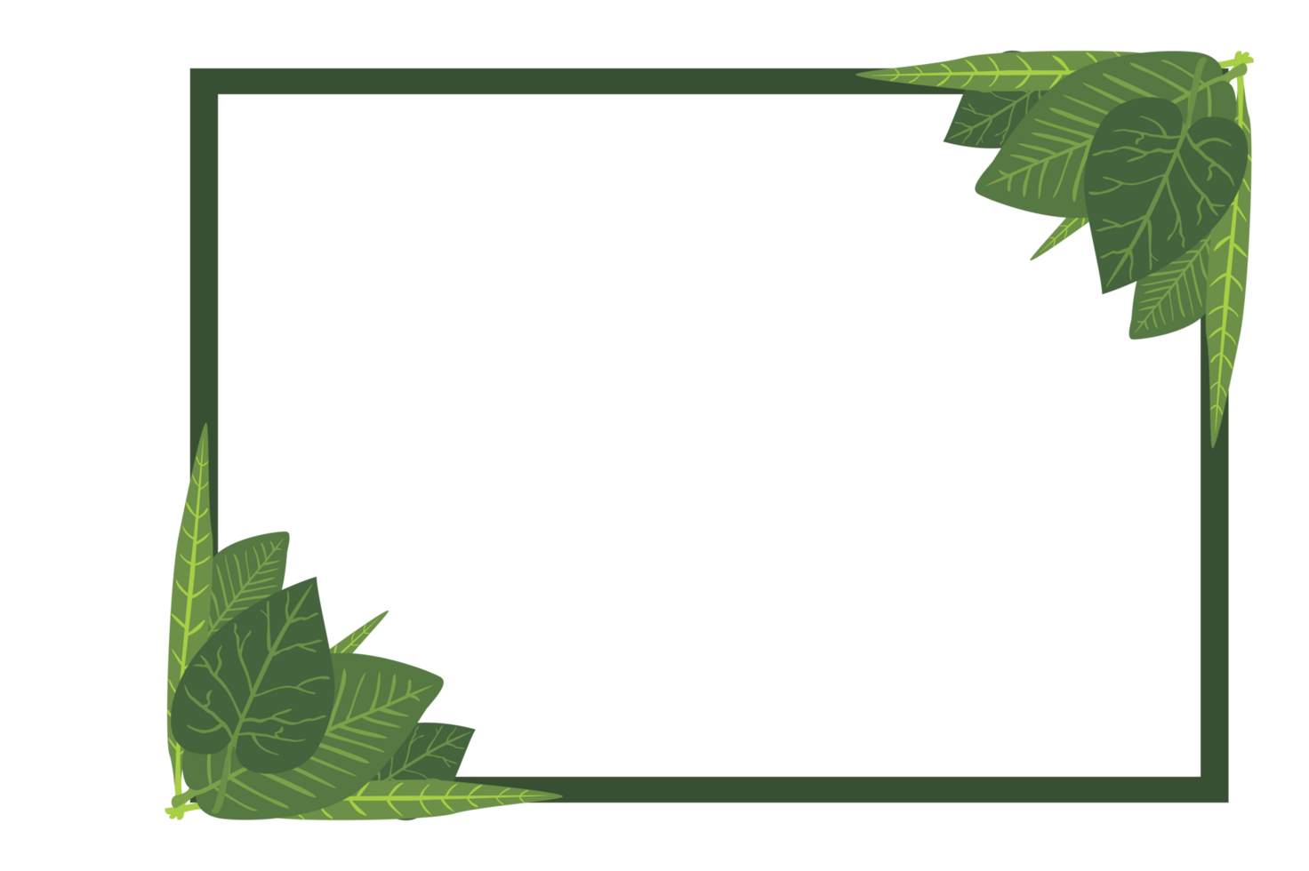 Flora Ornament Border With Design With Transparent Background png