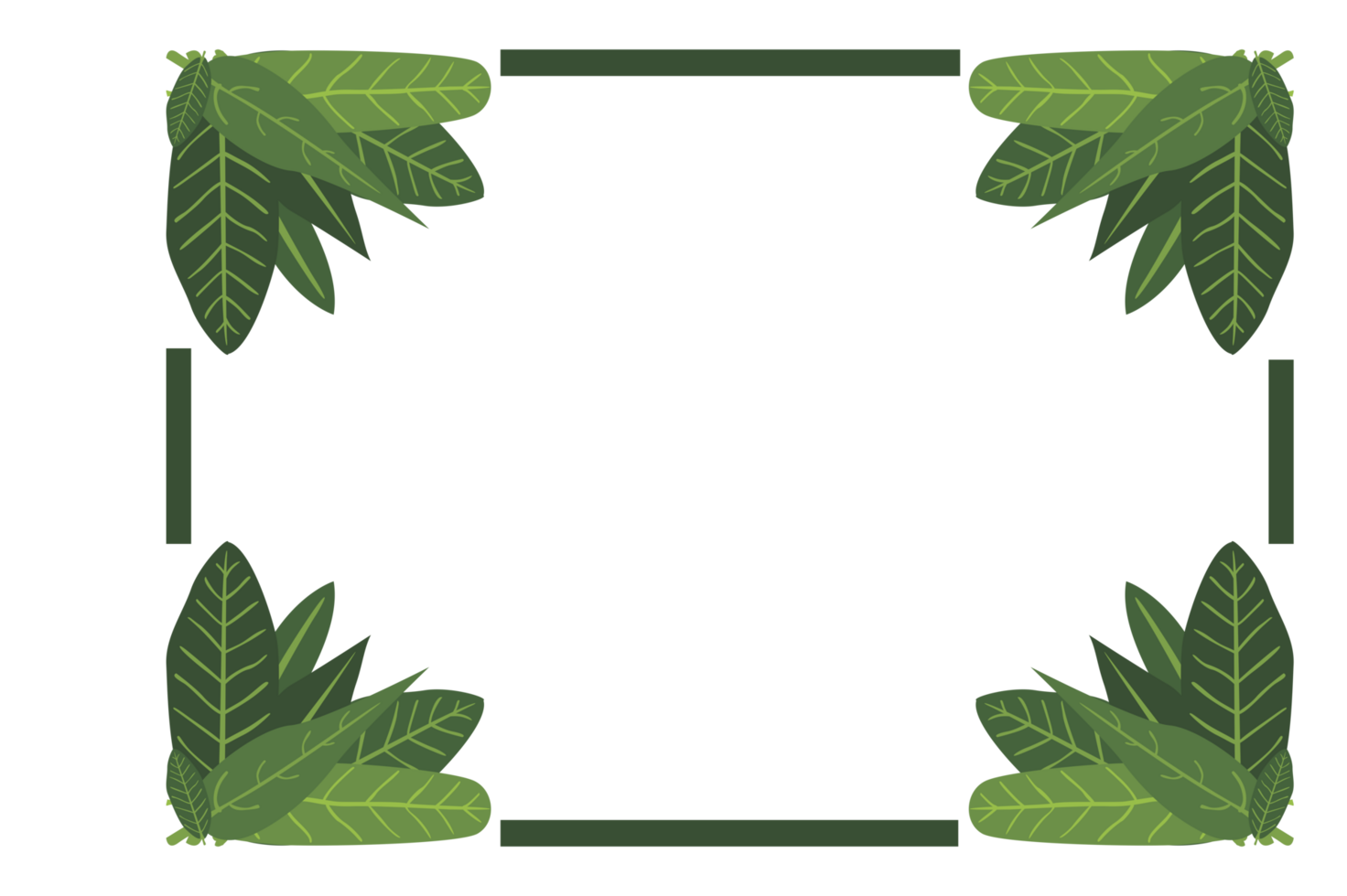 Flora Ornament Border With Design With Transparent Background png