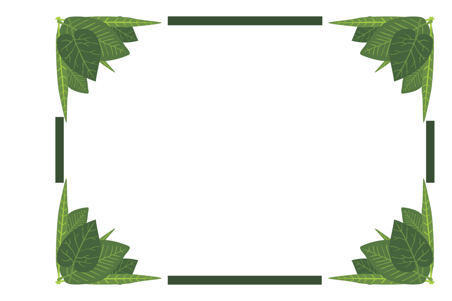 Flora Ornament Border With Design With Transparent Background png