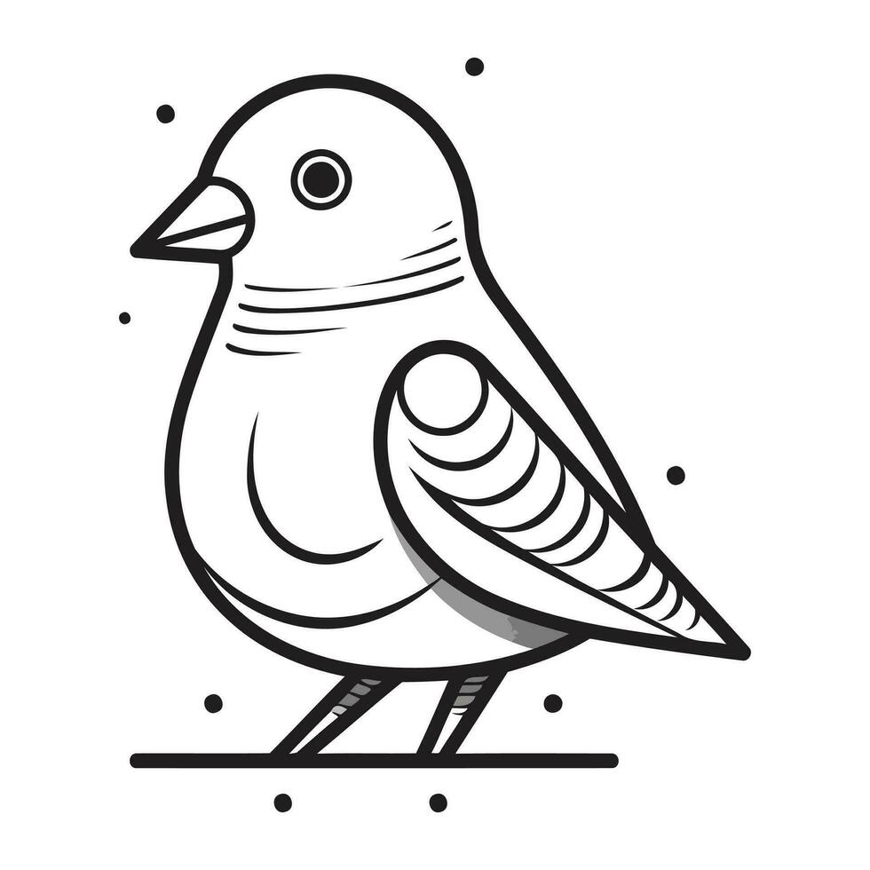 Vector illustration of a bird. Isolated on a white background.
