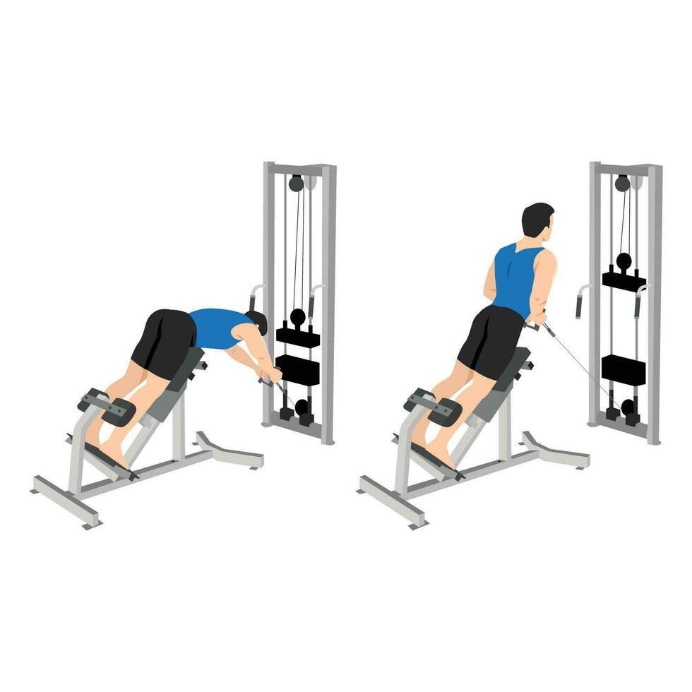 Man doing crossover machine cable row and back extension exercise. vector