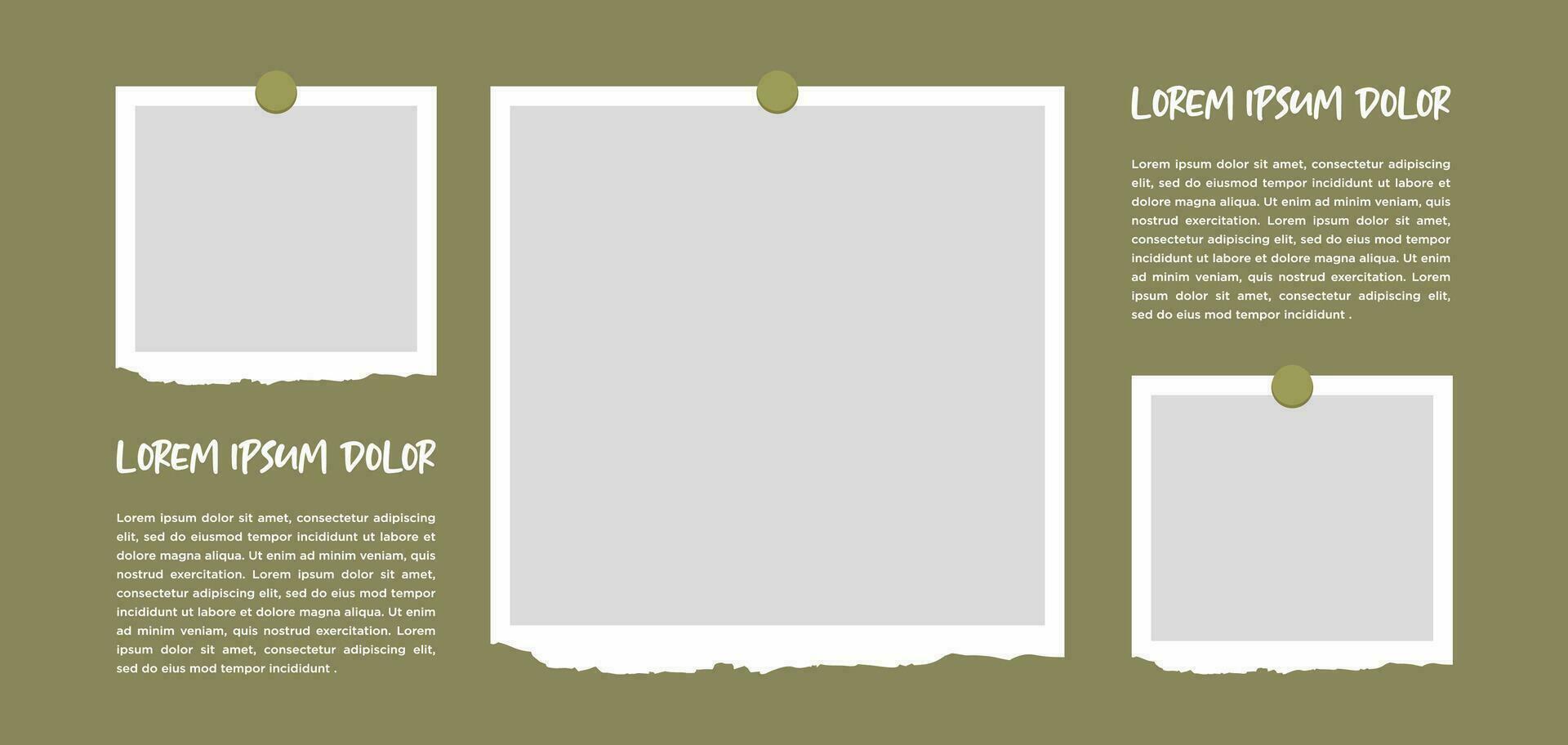 Pictures or photos frame collage. comics page grid layout abstract photo frames and digital photo wall template vector