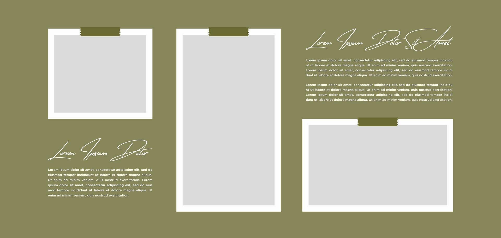 Pictures or photos frame collage. comics page grid layout abstract photo frames and digital photo wall template vector