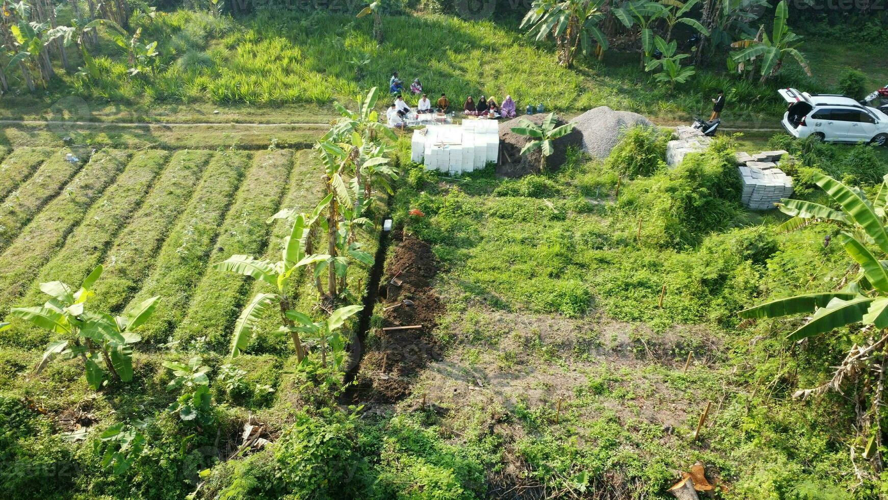 large fields for gardening photo