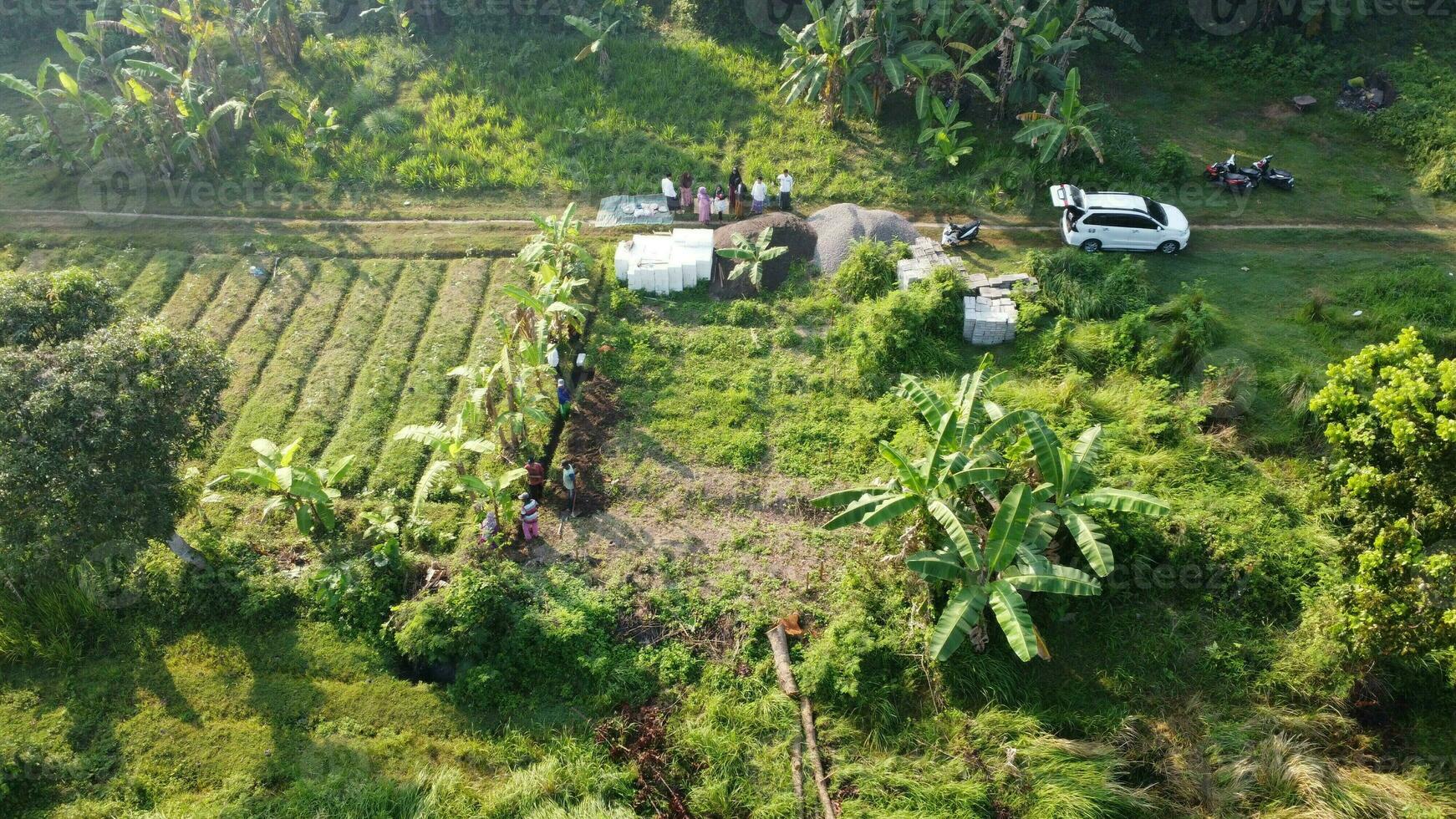 large fields for gardening photo