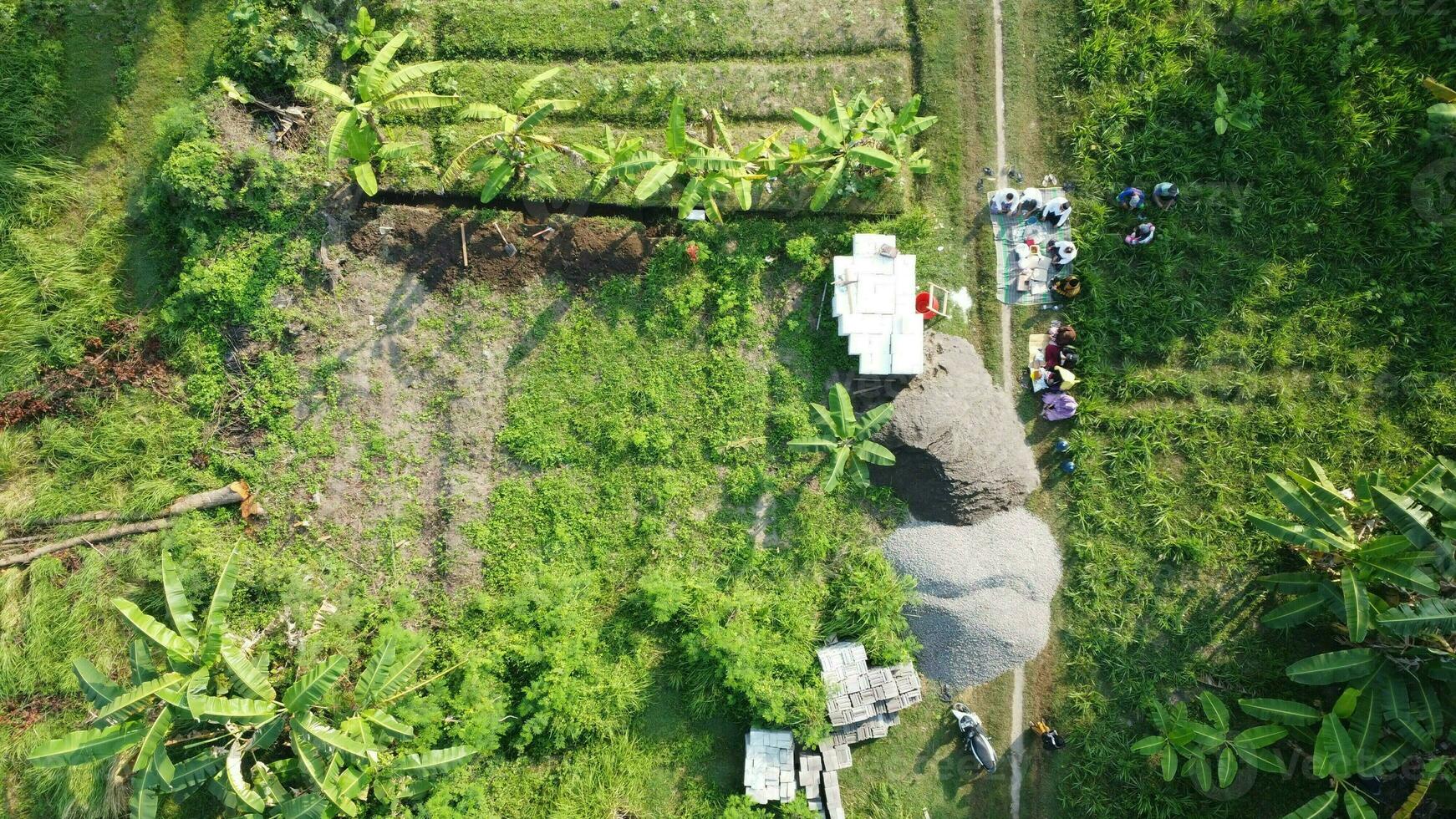 large fields for gardening photo