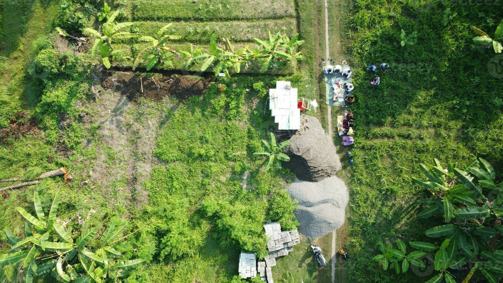 large fields for gardening photo