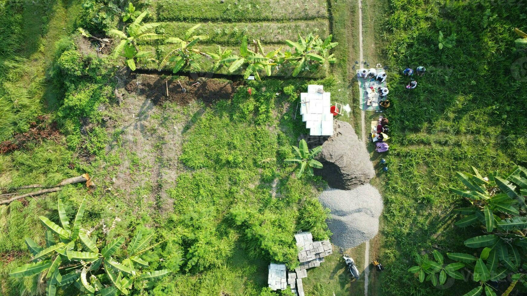 large fields for gardening photo