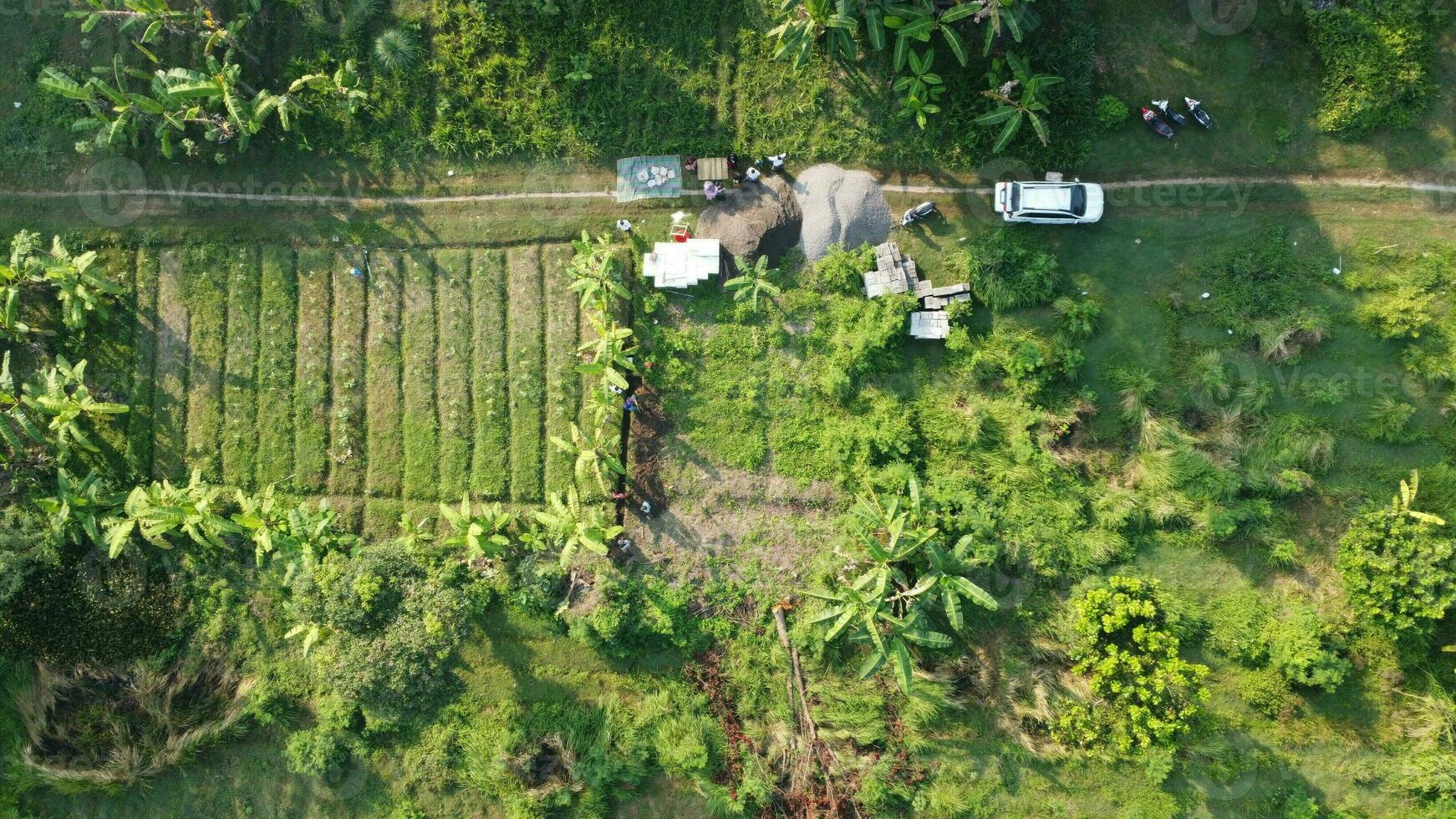 large fields for gardening photo