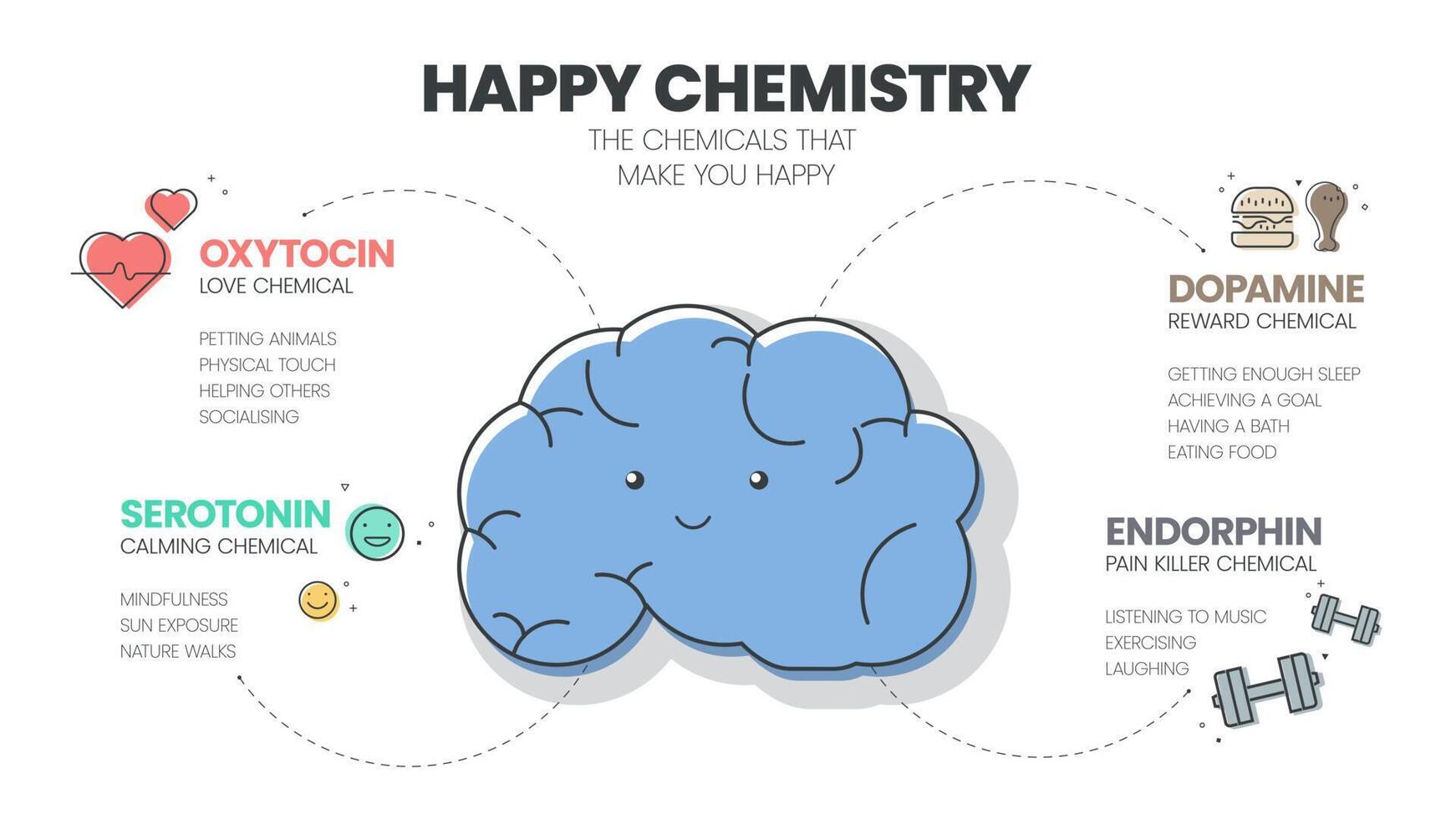 Happy Chemistry infographic has 4 types of Chemical hormones such as Oxytocin Love, Serotonin Calming, Dopamine Reward and Endorphin Pain Killer. Happy chemicals concept. Presentatation slide. vector