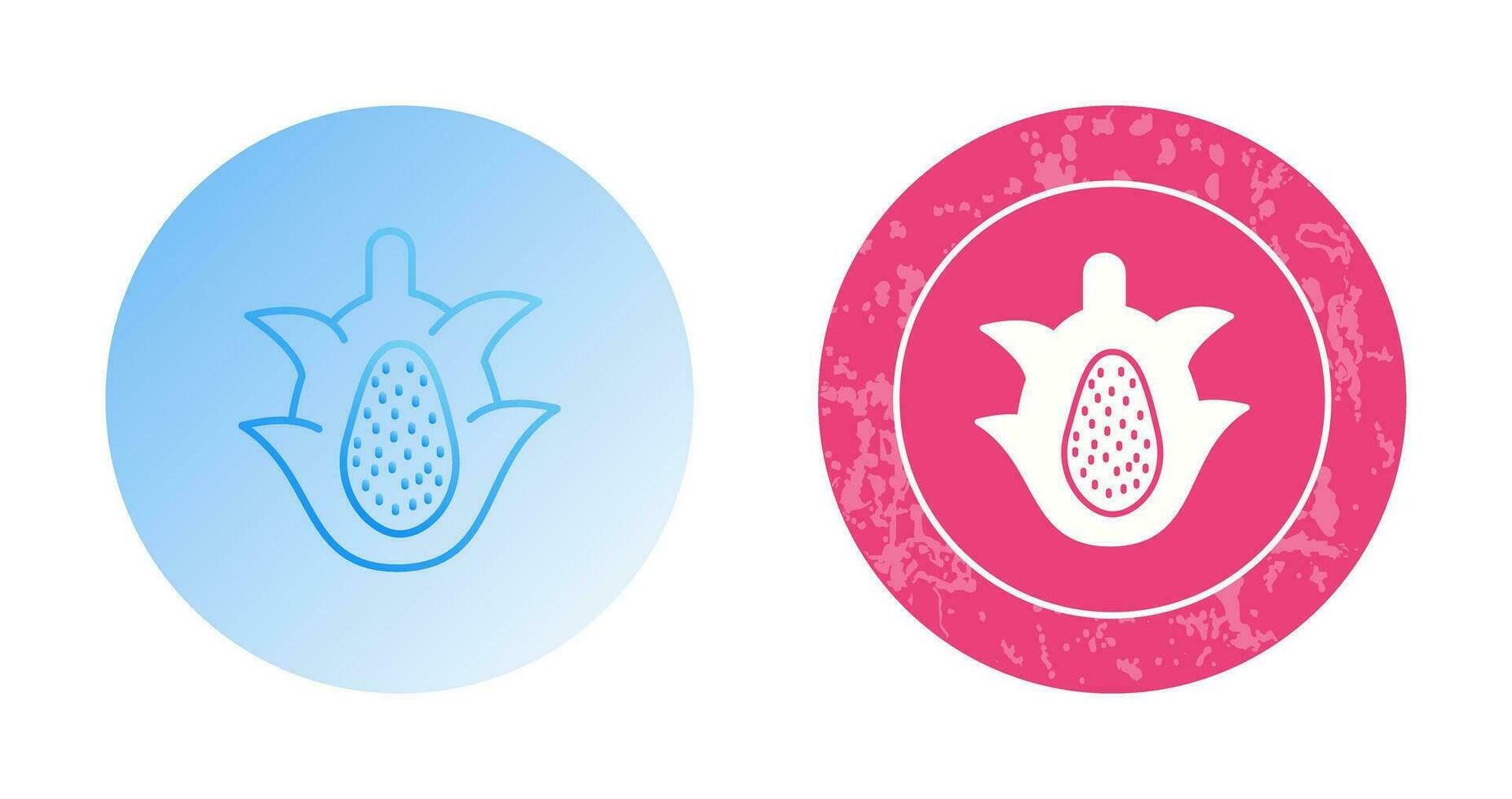 Dragon Fruit Vector Icon