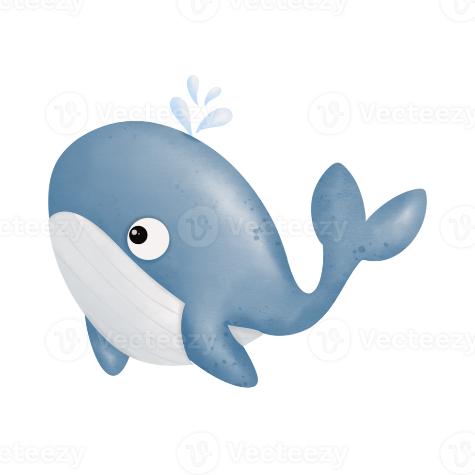 blue whale in the sea png