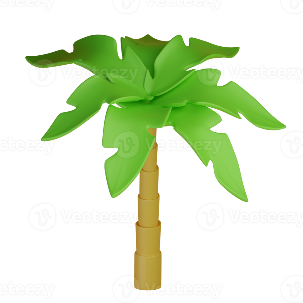 Palm tree isolated. 3D Rendering png