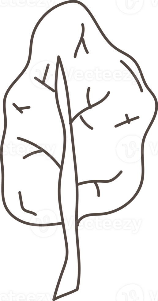 Tree line hand drawn doodle. png