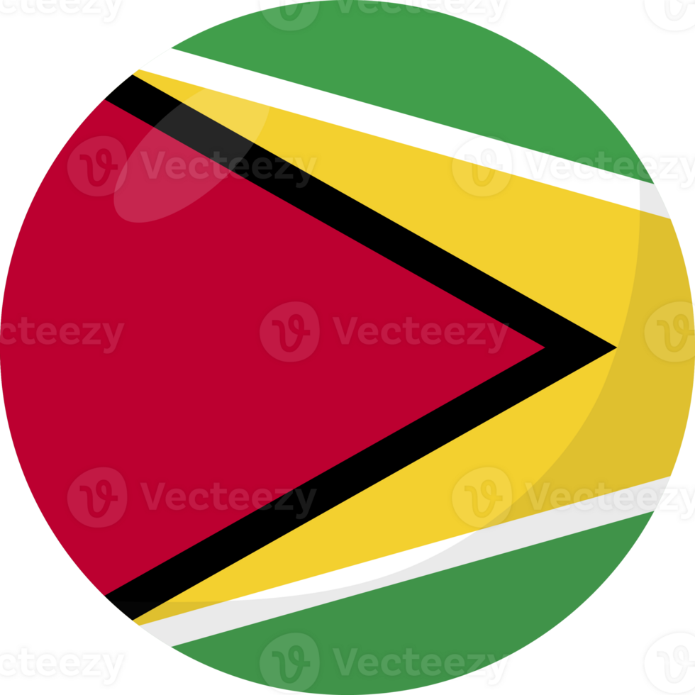 Guyana flag circle 3D cartoon style. png