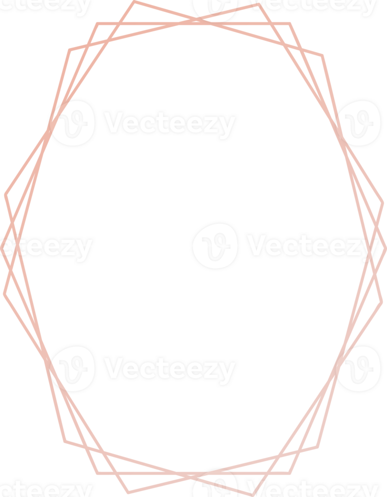 geometrico rosa oro telaio illustrazione. png