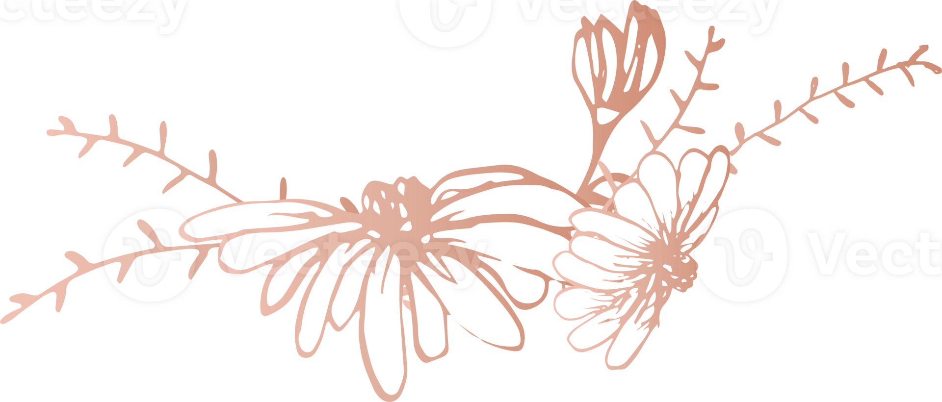 Decorative calligraphic elements for decoration, Handmade illustration, Transparent background png