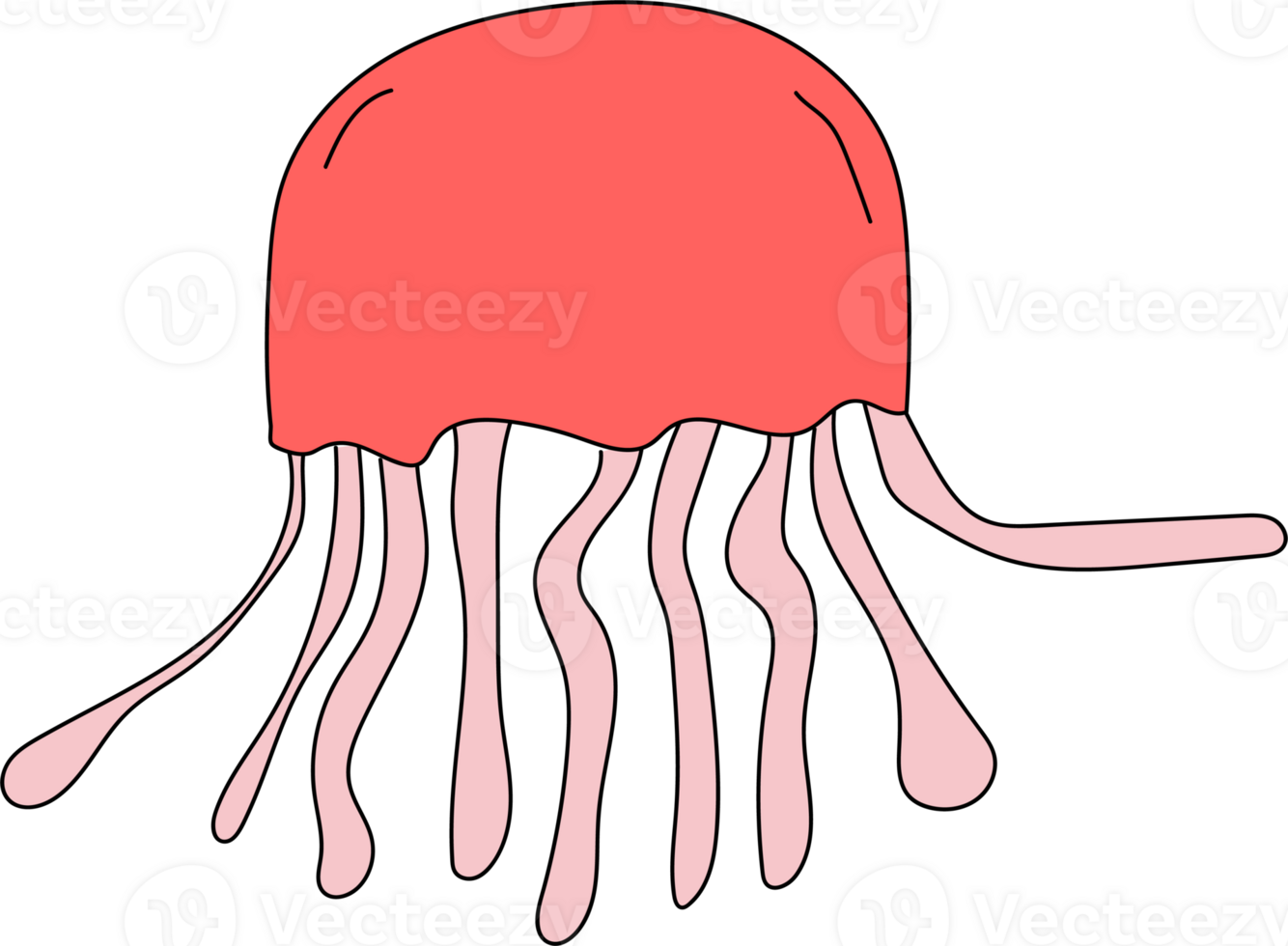 Jelly fish cartoon doodle png