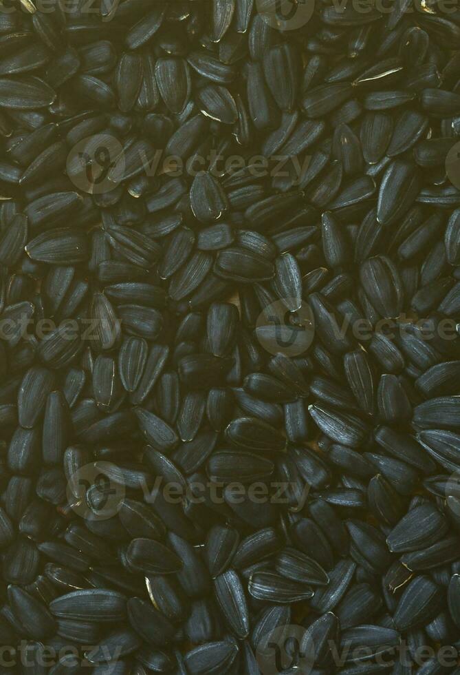 A pattern of many unprocessed fried sunflower seeds in a black shell. photo