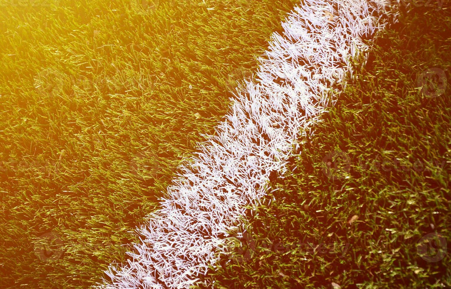 White stripe on a bright green artificial grass soccer field photo