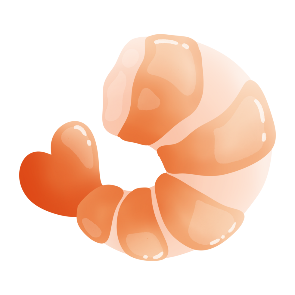 Cute shrimp cartoon drawing png