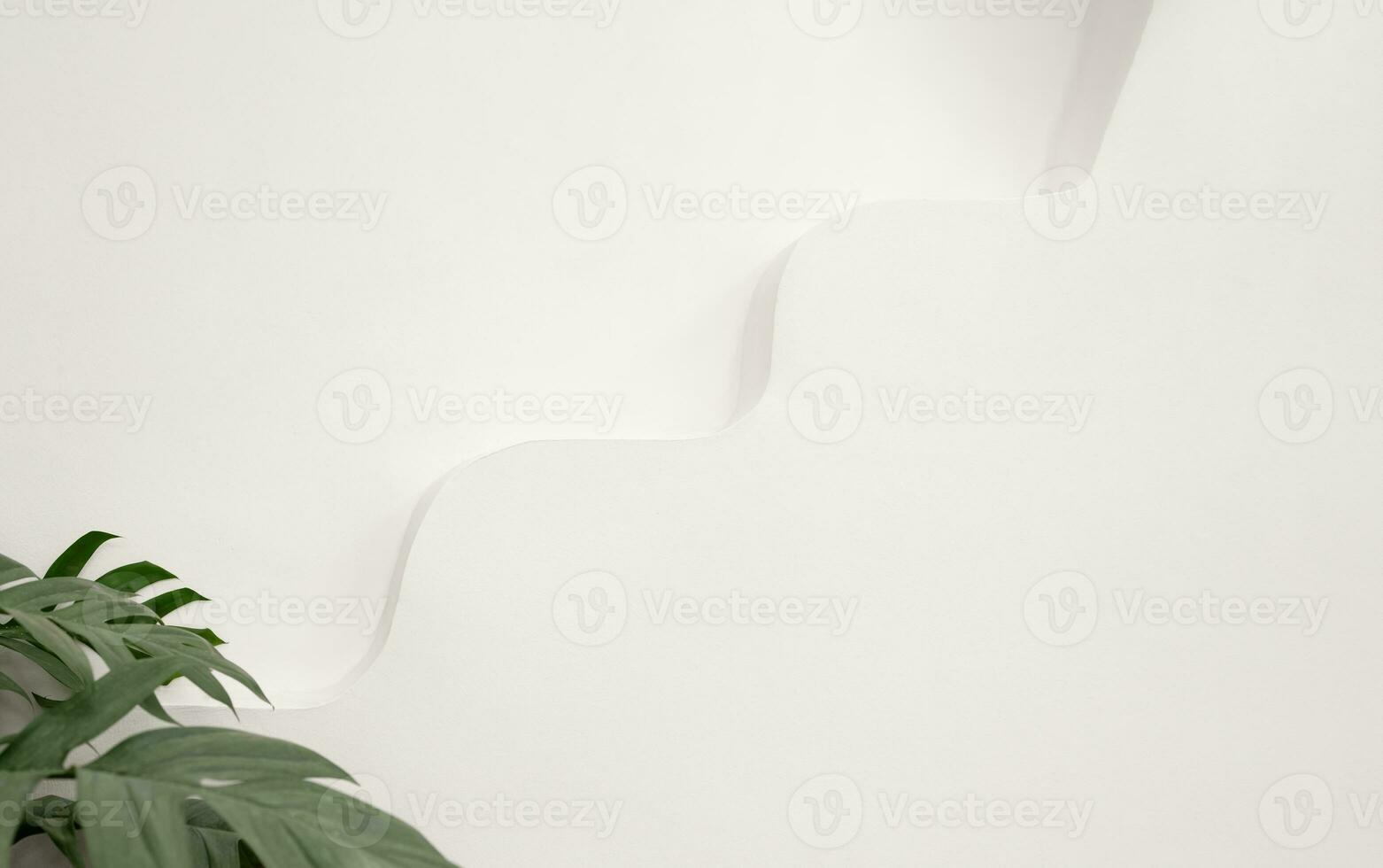 Background White Wall Studio Surface Texture with lines curve pattern,Modern exterior of concrete building with blurry tropical leaves and light and shadow on wall,Minimal architecture concept photo