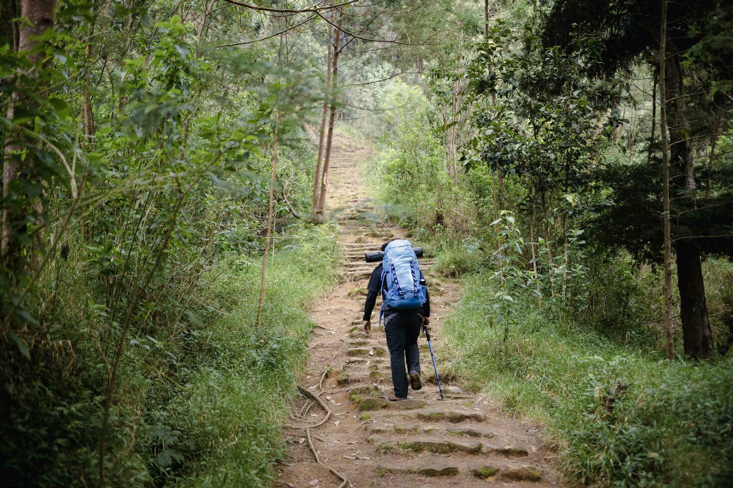 Hiker with blue backpack photo