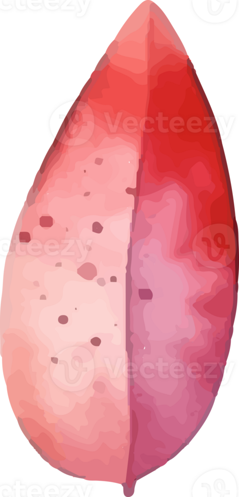 watercolor abstract stain png