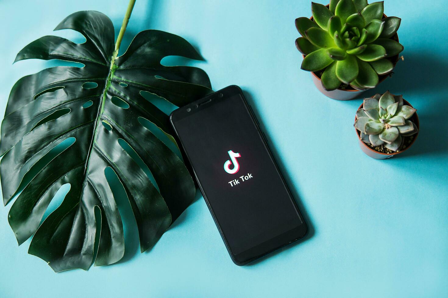 Tver, Russia-February 28, 2020 tik tok logo on the smartphone screen with a monstera leaf and succulents on a blue background. Tik Tok icon. tick Tok app. Tiktok social network. photo