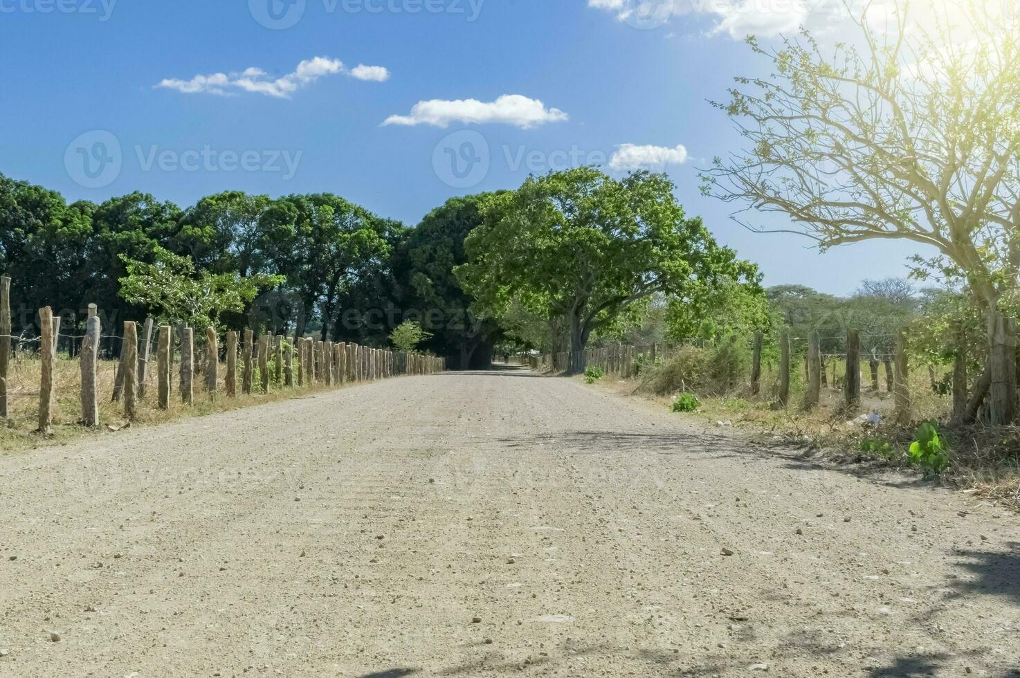 A road surrounded by trees with clouds and blue sky, a road surrounded by trees on a sunny day with copy space photo