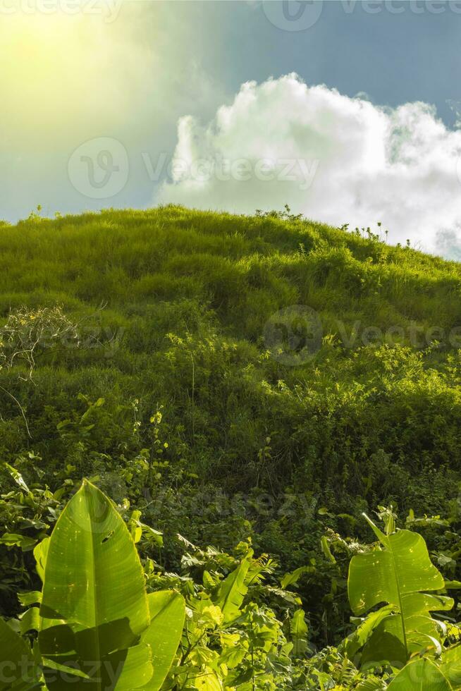 Low angle of a hill with clouds and blue sky, Hill with blue sky and copy space photo