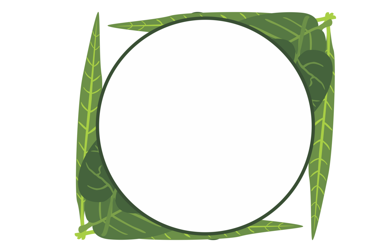 Flora Ornament Border With Design With Transparent Background png