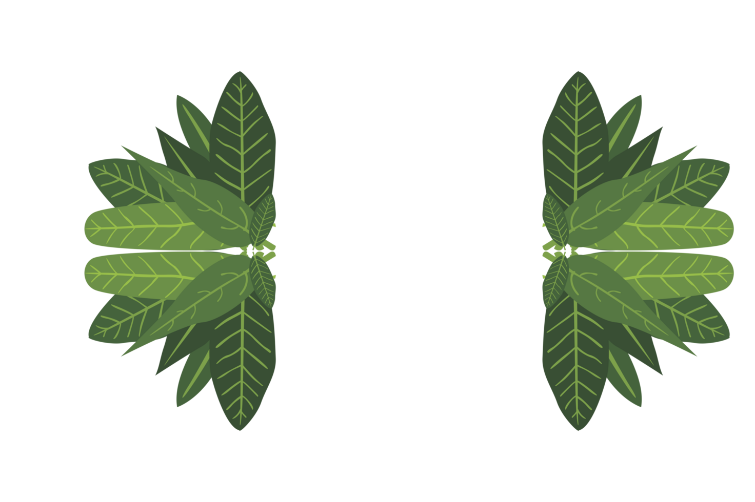 Flora Ornament Border With Design With Transparent Background png