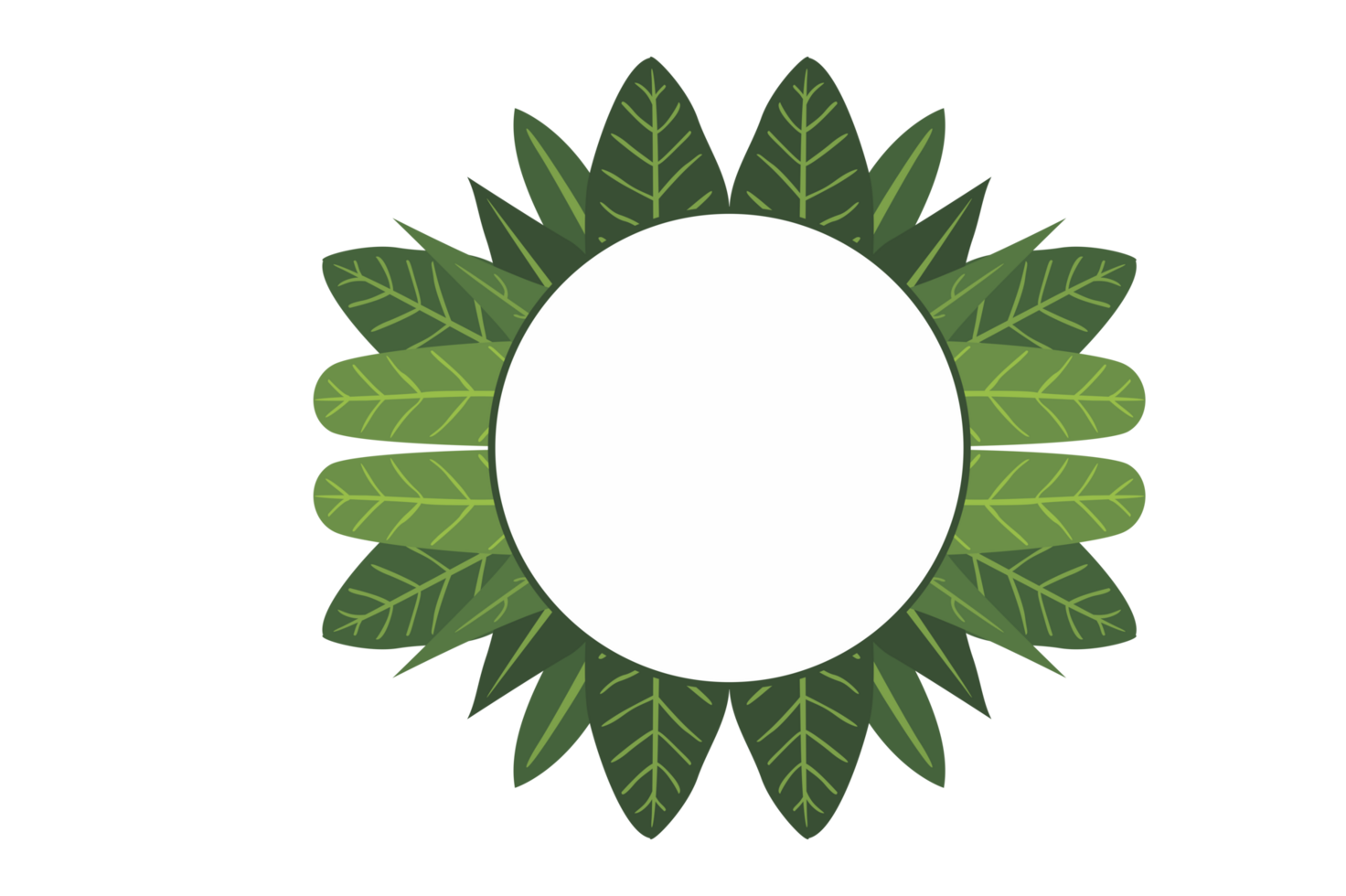 flora enfeite fronteira com Projeto com transparente fundo png