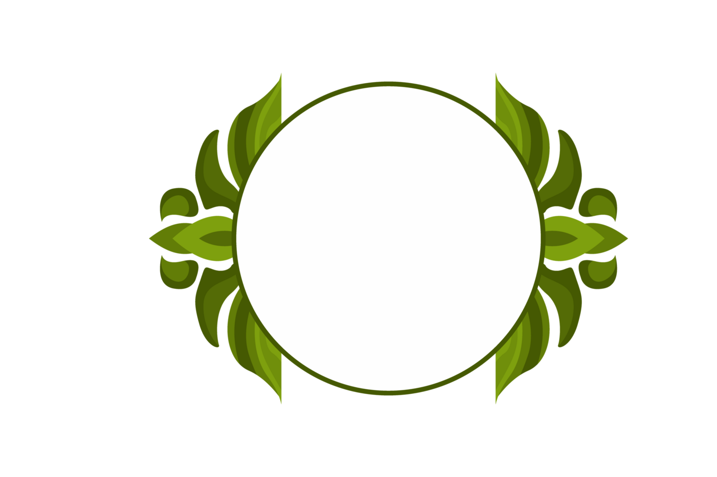 Flora Ornament Border With Design With Transparent Background png