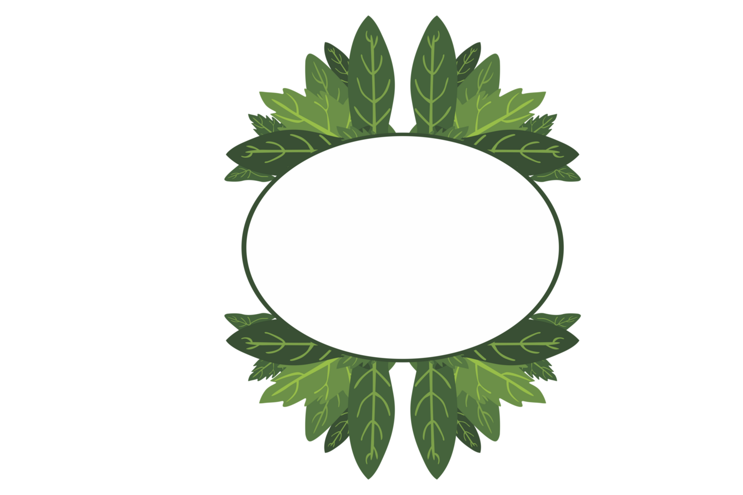 Flora Ornament Border With Design With Transparent Background png