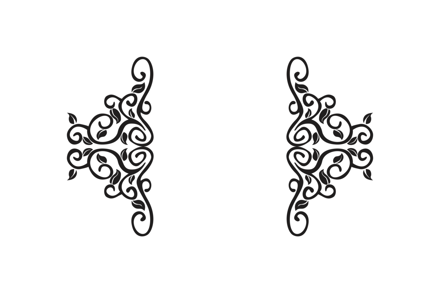 Flora Ornament Border With Design With Transparent Background png