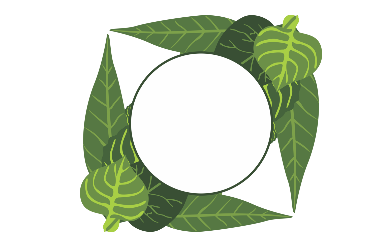 Flora Ornament Border With Design With Transparent Background png