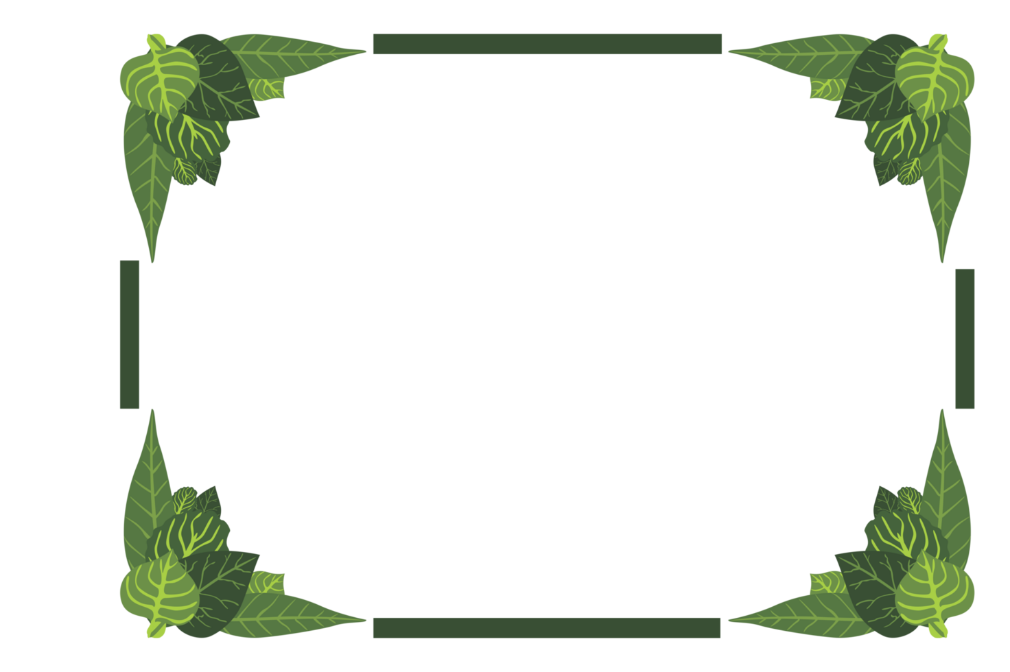 Flora Ornament Border With Design With Transparent Background png