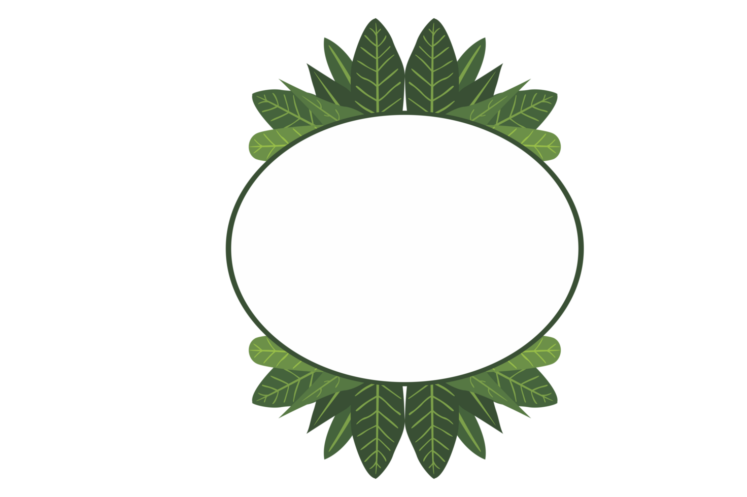 Flora Ornament Border With Design With Transparent Background png