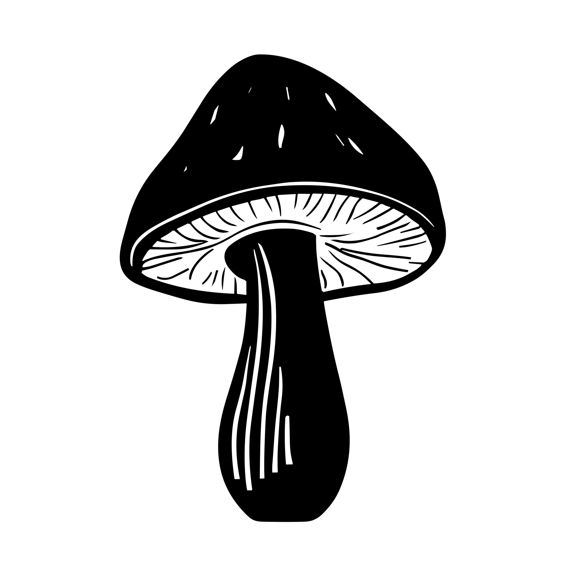 Mushroom icon. Mushroom Illustration, Mushrooms Collection. Magic