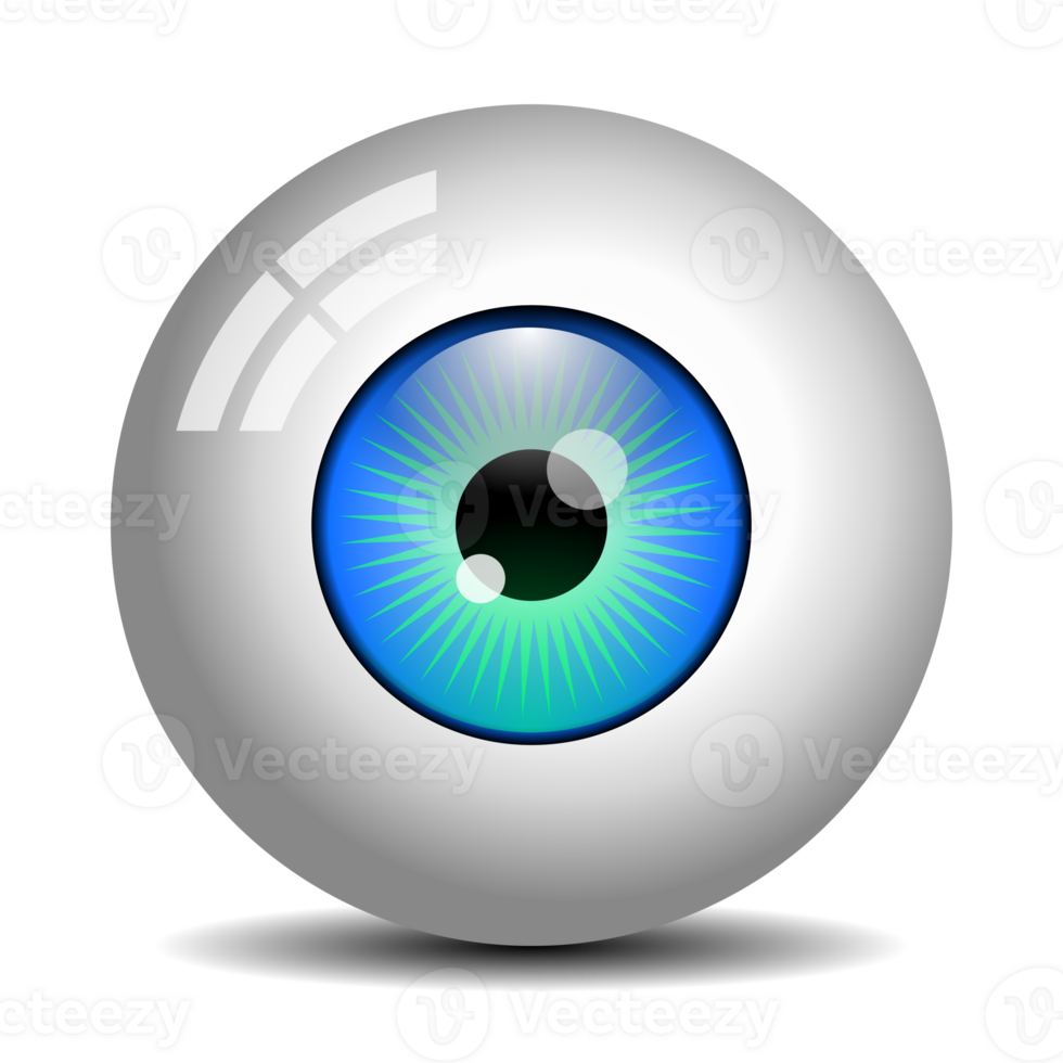 Realistic Eyeball with transparent background png