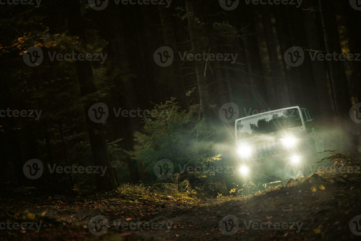 todas ruedas conducir vehículo en el bosque sendero la carretera foto