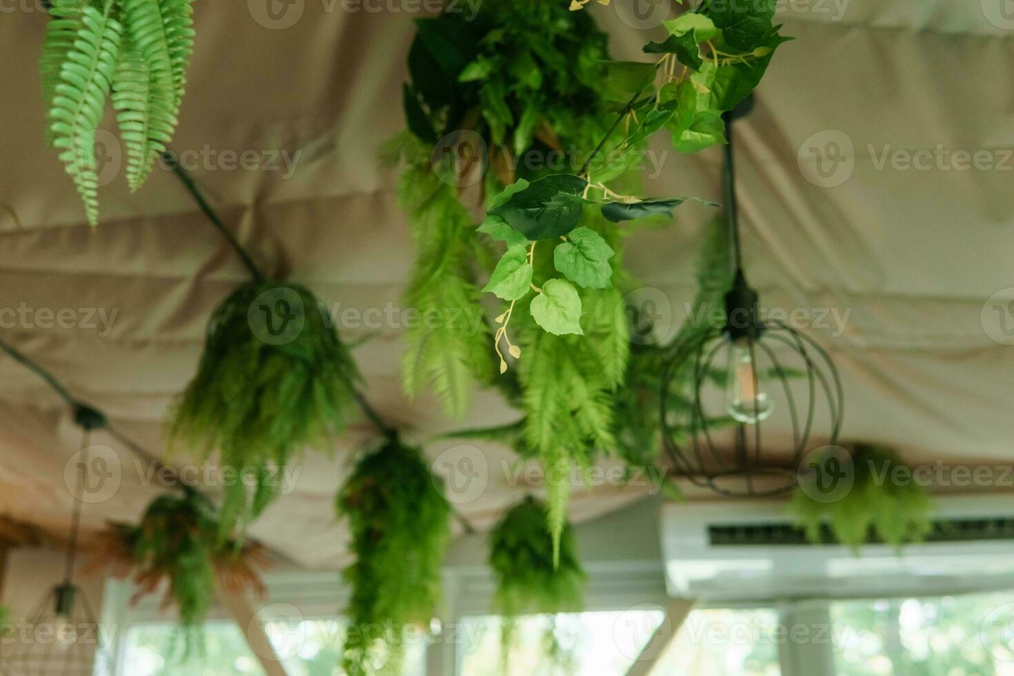 Cafe interior with elements of biophilic design. The ceiling is decorated with hanging indoor plants. The concept of biophilia photo
